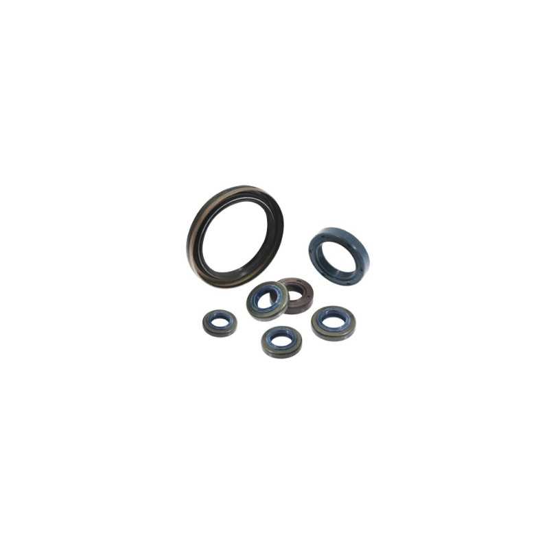 Joint d'huile de volant pour moteur de tondeuse à gazon T100 NGP 3,5 CV V6-2B-100-000