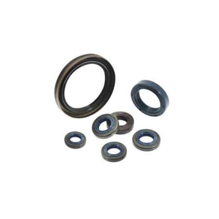 Paraolio volano motore tagliaerba rasaerba 3,5 HP T100 NGP V6-2B-100-000 | NewgardenParts.com