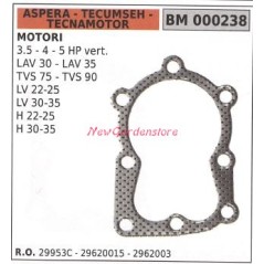 Guarnizione testata ASPERA trattorino tagliaerba rasaerba 3.5 4 5 hp 000238 | NewgardenParts.com