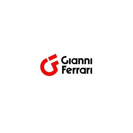 Perno asse ruota Garden 250 mm ORIGINALE GIANNI FERRARI 65.05.01.0590 | NewgardenParts.com