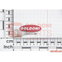 Perno KALWAS 8X16 ESN 01 ORIGINALE GOLDONI 06340144 | NewgardenParts.com