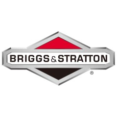 BRIGGS & STRATTON Rasenmäher-Motorbolzen 223448 | NewgardenParts.com
