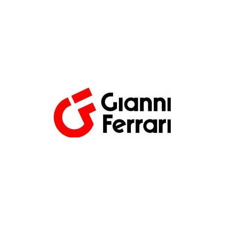 Perno sinistro sterzo trattorino rasaerba ORIGINALE GIANNI FERRARI 01.50.01.0252