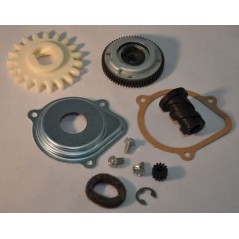 Original BRIGGS & STRATTON Rasenmähermotor-Ritzel 795093 | NewgardenParts.com