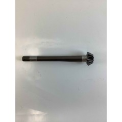 Pignone ORIGINALE OLEOMAC EMAK F0013004R | NewgardenParts.com