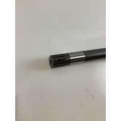 Pignone ORIGINALE OLEOMAC EMAK F0013004R | NewgardenParts.com