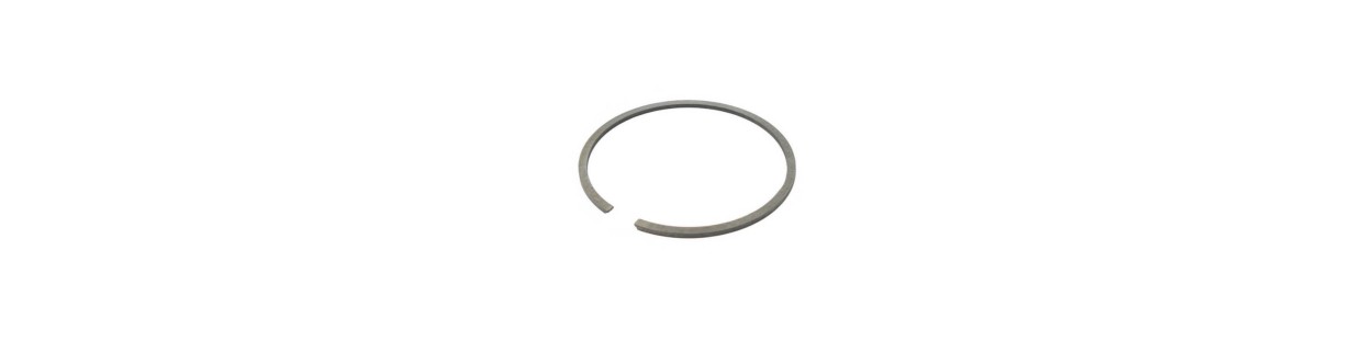 Segmentos para motores 2T y 4T jardín | Newgardenparts