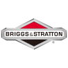 Briggs & stratton